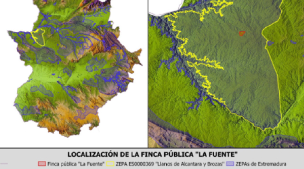 parque-natural-tajo-internacional-habitat-sison-fundacion-iberdrola-espana-3