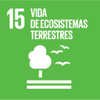 15-ods-vida-ecosistemas-terrestres-fundacion-iberdrola-espana