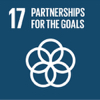 17-sdg-partnerships-goals-fundacion-iberdrola-espana