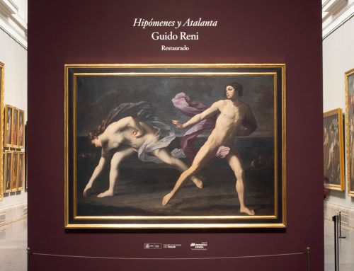 After its recent restoration the Museo Nacional del Prado presents Guido Reni’s Hippomenes and Atalanta in a unique setting